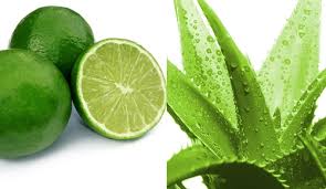 nha-dam-chanh-tri-nhon