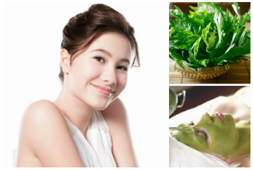 ngai-cuu-tri-gian-mao-mach