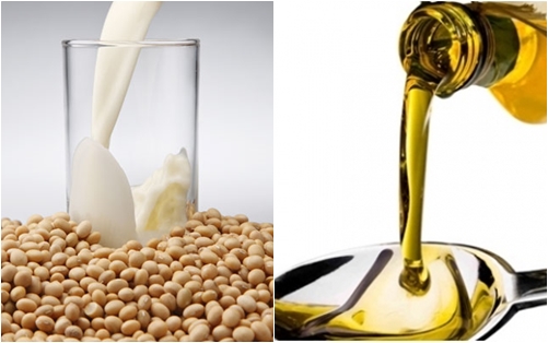 dau-oliu-va-dau-nanh