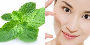 tri-mun-trung-ca-voi-la-bac-ha